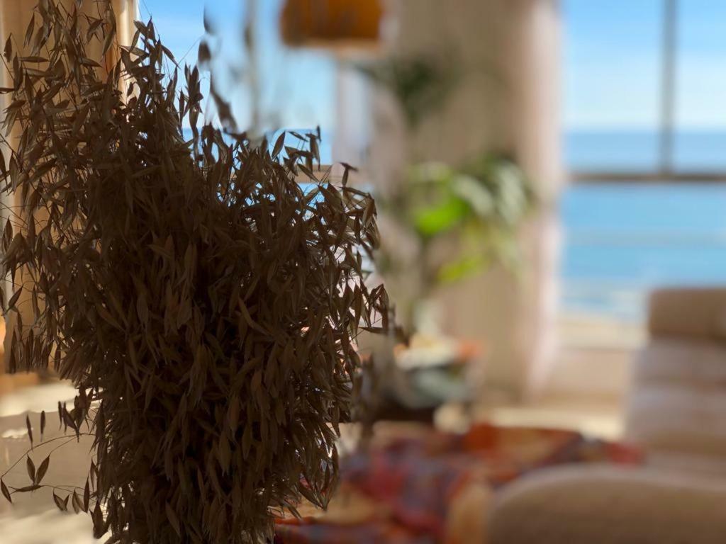 Apartmán Stunning Sea View Alicante Exteriér fotografie